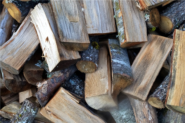 壁爐不應該燒潮濕木柴.jpg 壁爐不應該燒潮濕木柴.jpg