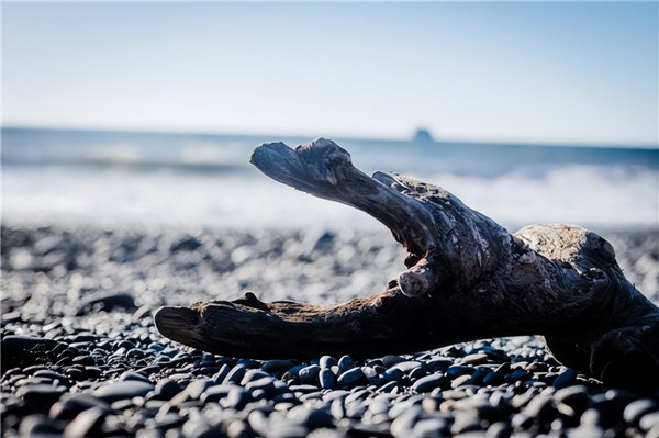 壁爐不應該燒海上浮木.jpg 壁爐不應該燒海上浮木.jpg